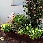 Villa Launa En Port D' Addaia *