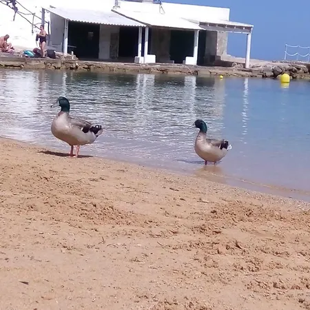 Launa En Port D' Addaia *