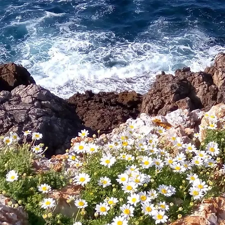 Villa Launa En Port D' Addaia