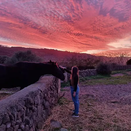 Launa En Port D' Addaia Willa *