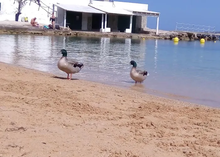 Launa En Port D' Addaia *