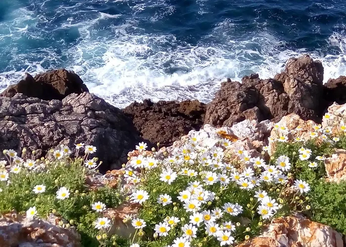 Vila Launa En Port D' Addaia